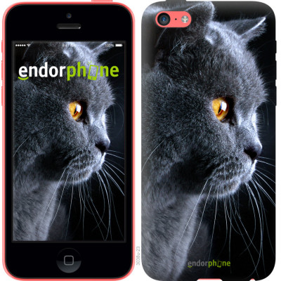 Пластиковий чохол Endorphone на iPhone 5c Красивий кіт (3038t-23-26985)