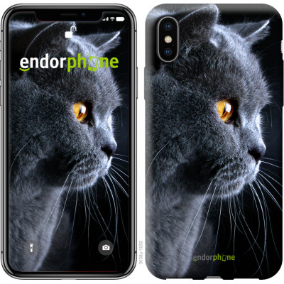 Пластиковий чохол Endorphone на iPhone XS Красивий кіт (3038t-1583-26985)