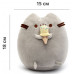 Комплект М'яка іграшка кіт з морозивом Pusheen cat і Антистрес іграшка Mokuru (n-724)