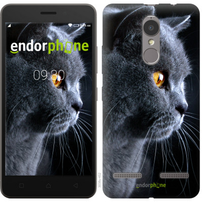 Пластиковий чохол Endorphone на Lenovo K6 Гарний кіт (3038m-452-26985)