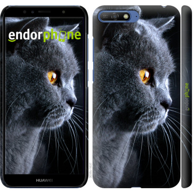 Пластиковий чохол Endorphone на Huawei Y6 2018 Красивий кіт (3038m-1637-26985)