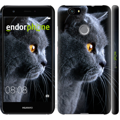 Силіконовий чохол Endorphone на Huawei Nova Красивий кіт (3038u-439-26985)