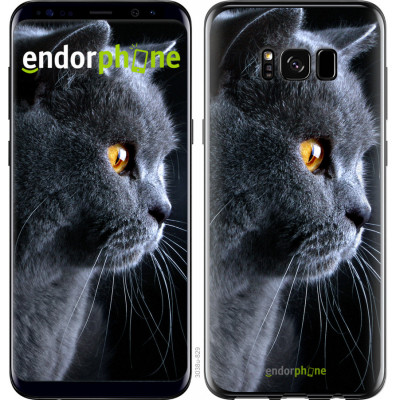 Пластиковий чохол Endorphone на Samsung Galaxy S8 Гарний кіт (3038m-829-26985)