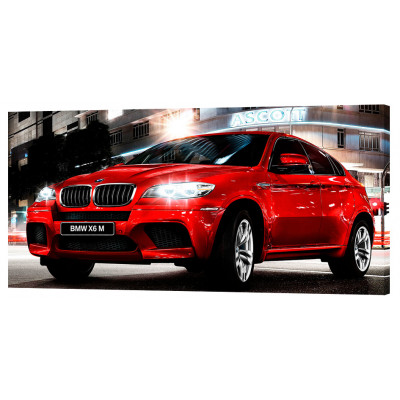 Картина на полотні Декор Карпати BMW X6 50х100 см (m808)