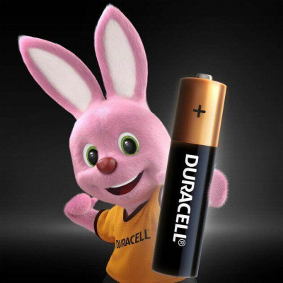 Лужні батарейки Duracell AAA (LR03) MN2400 Basic 2 шт