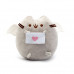 М'яка іграшка Pusheen cat з листом + подарунок (vol-1042)