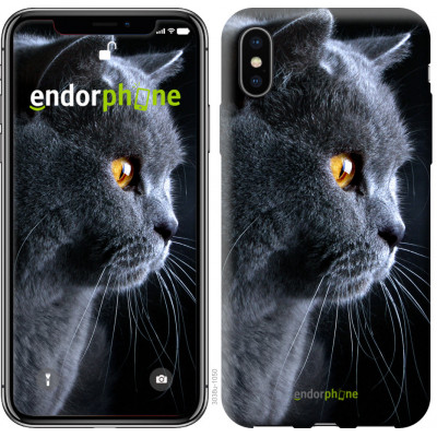 Пластиковий чохол Endorphone на iPhone X Красивий кіт (3038t-1050-26985)