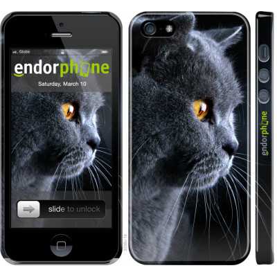 Пластиковий чохол Endorphone на iPhone 5s Гарний кіт (3038t-21-26985)