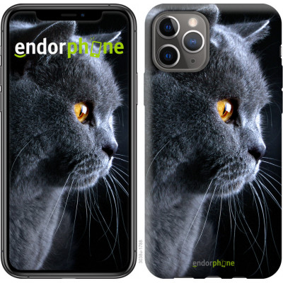 Силіконовий чохол Endorphone на iPhone 11 Pro Гарний кіт (3038u-1788-26985)