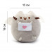 М'яка іграшка Pusheen cat з листом + подарунок (n-1042)