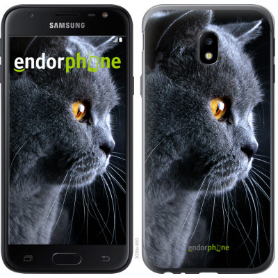 Панель Endorphone Samsung Galaxy J3 (2017) Гарний кіт (3038t-650-26985)