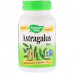 Корінь астрагалу Nature's Way Astragalus Root 470 мг 100 капсул (NWY10180)