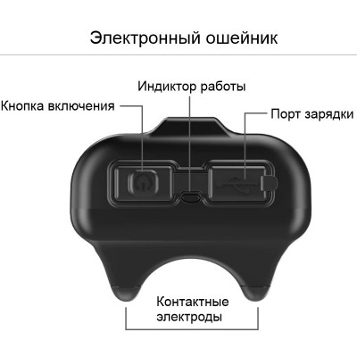 Електронашийник для собак дресирувальний DOBE DB61 для маленьких та середніх собак Червоний (100710)