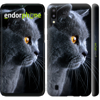 Пластиковий чохол Endorphone на Samsung Galaxy M10 Гарний кіт (3038m-1661-26985)