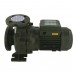 Насос моноблочний IR 40-125A 3,0 кВт SAER (40 м3/год, 27,5 м)