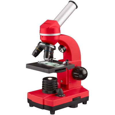 Мікроскоп Bresser Junior Biolux SEL 40x-1600x Red з адаптером для смартфона (8855600E8G000)